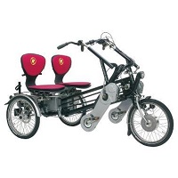 Rent tricycle discount